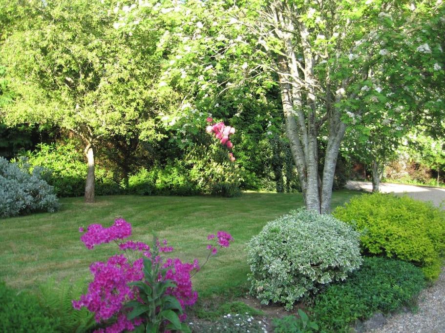 Self Catering Apartment At Beechwalk House. Enniskerry Εξωτερικό φωτογραφία